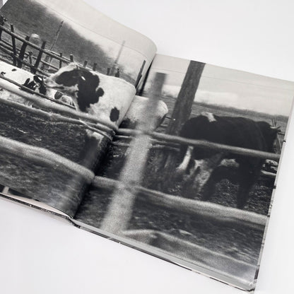 森山大道　北海道 - ラットホールギャラリー - 文福