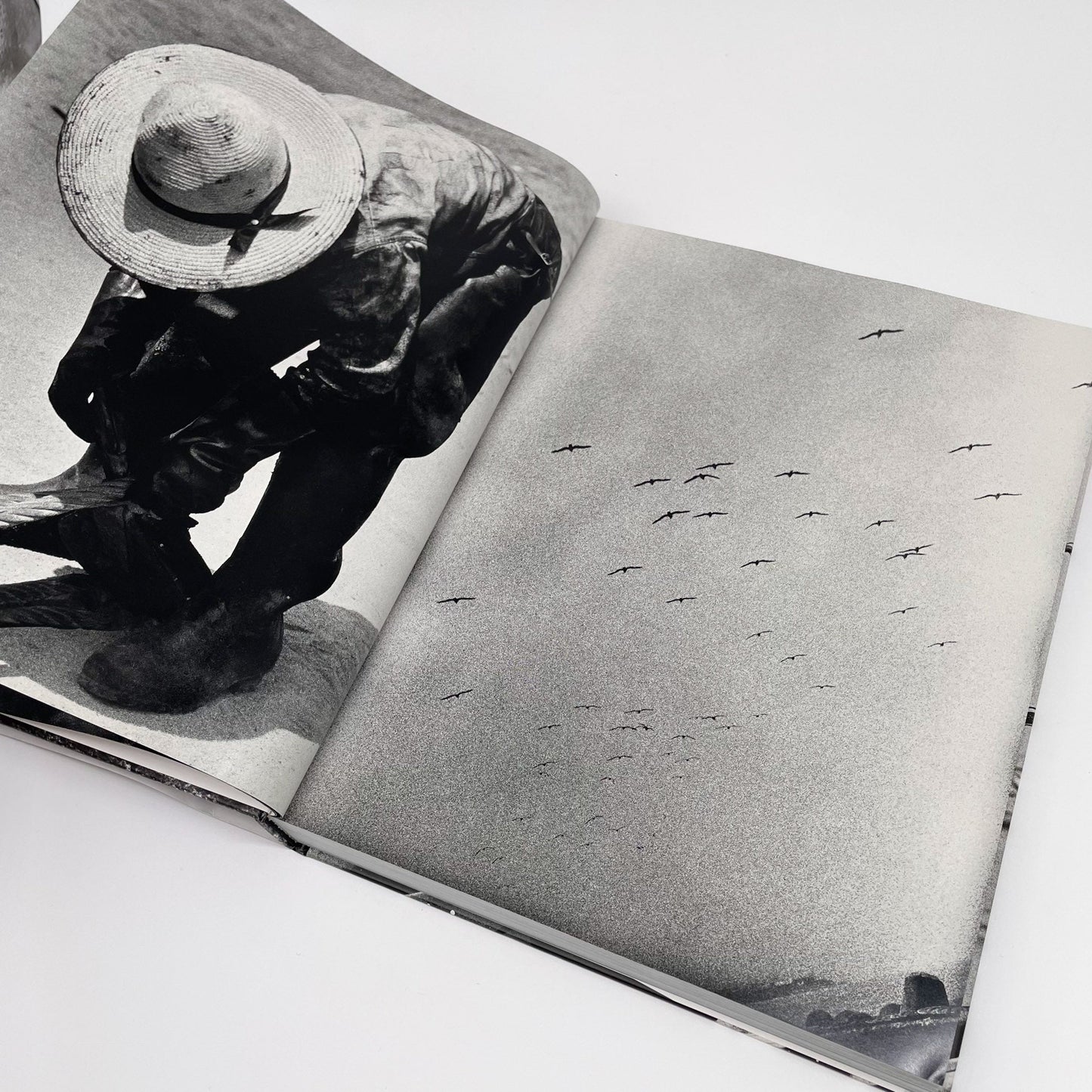 森山大道　北海道 - ラットホールギャラリー - 文福