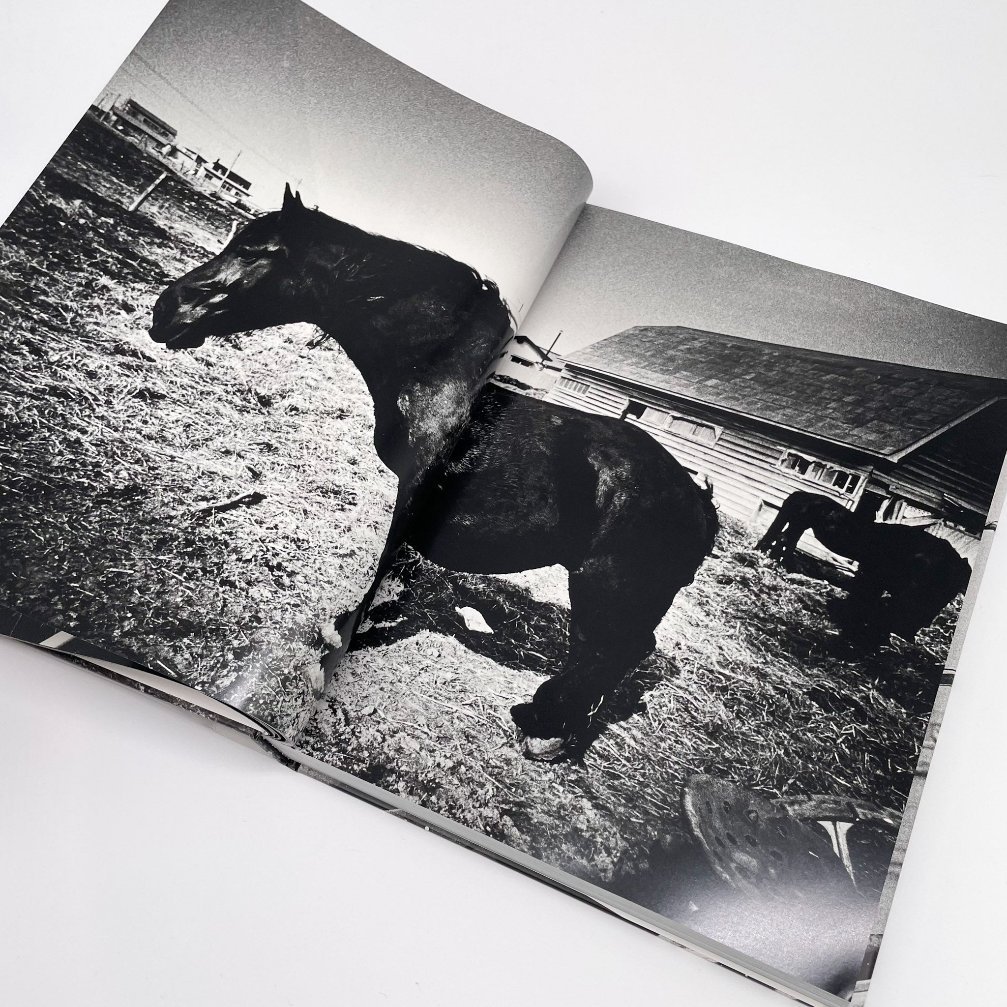 森山大道写真集北海道（签名） – 文福