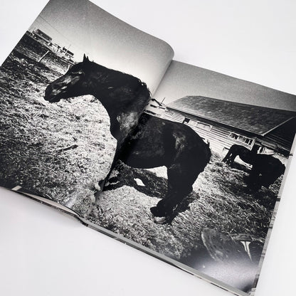 森山大道　北海道 - ラットホールギャラリー - 文福