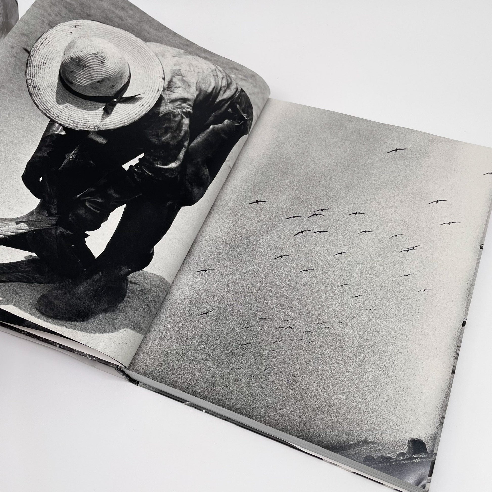 森山大道　Hokkaido（北海道） ラットホールギャラリー