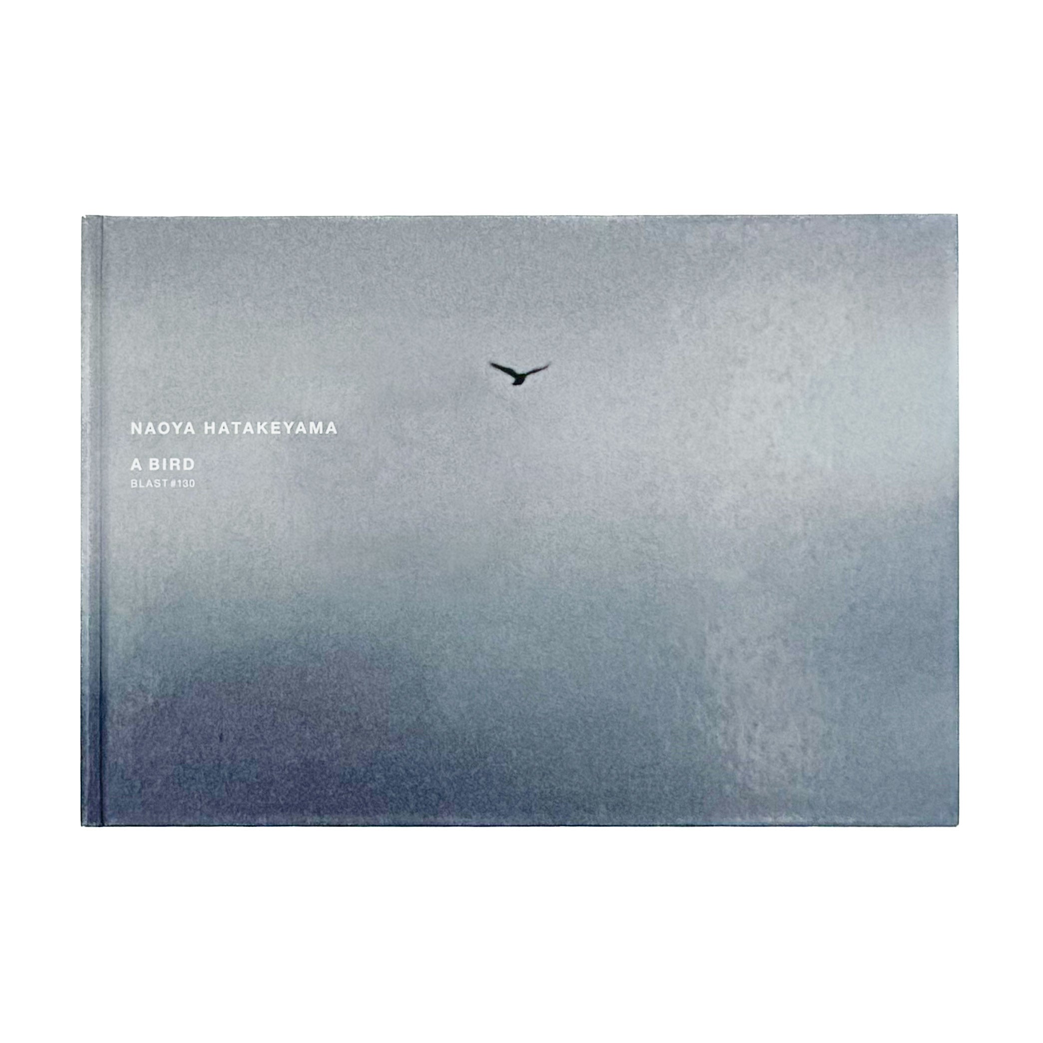 畠山直哉写真集 A BIRD, BLAST #130 – 文福