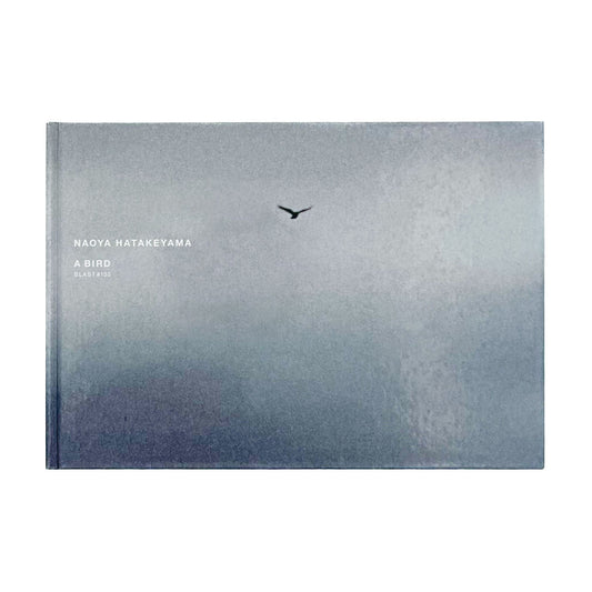 畠山直哉　A BIRD, BLAST #130 Taka Isii Gallery