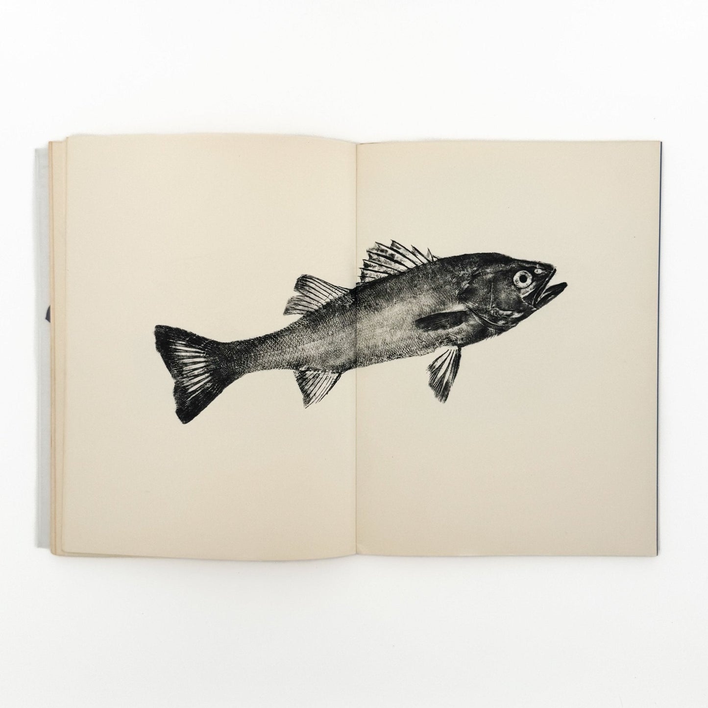 永田一脩　魚拓 - 芸美出版社 - 文福