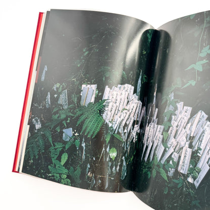 内藤正敏写真集　身延山　七面山　法華信仰の聖地 - 耕土社 - 文福