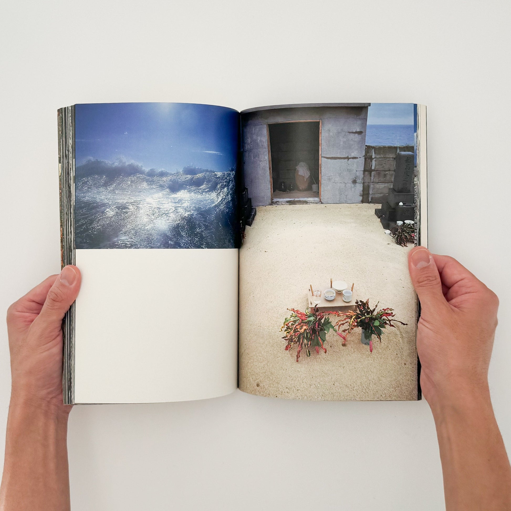 中平卓馬　原点復帰ー横浜　Degree Zero-YOKOHAMA - 写真集