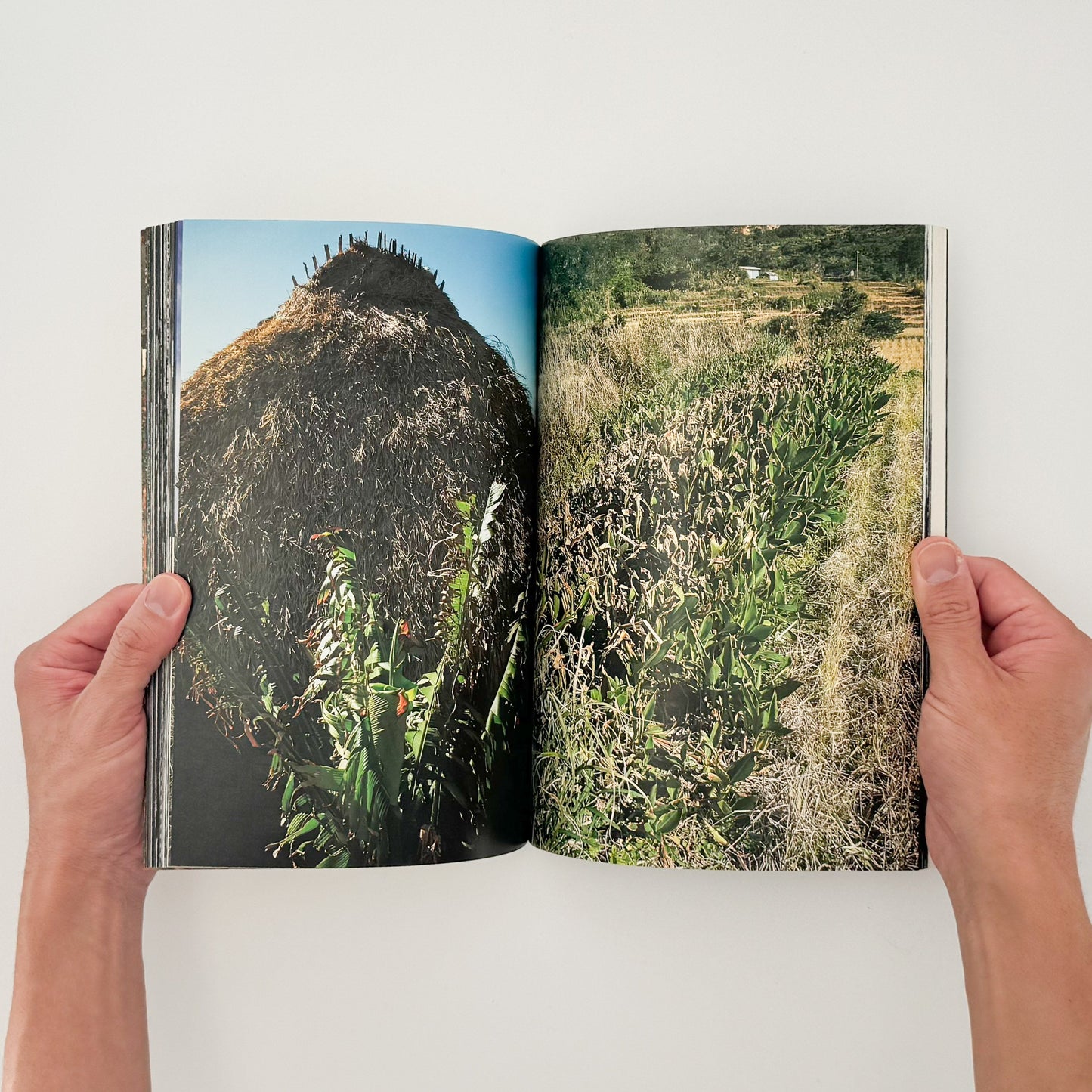 中平卓馬　原点復帰ー横浜　Degree Zero-YOKOHAMA - 写真集