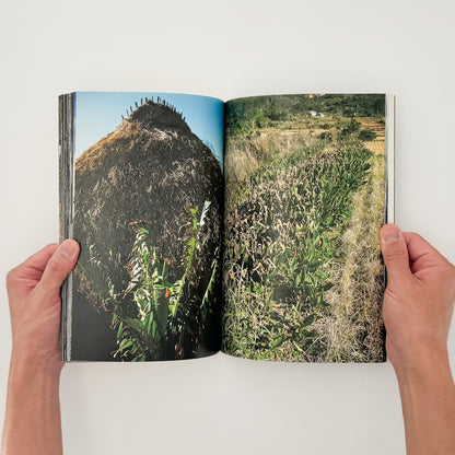 中平卓馬　原点復帰ー横浜　Degree Zero-YOKOHAMA - 写真集