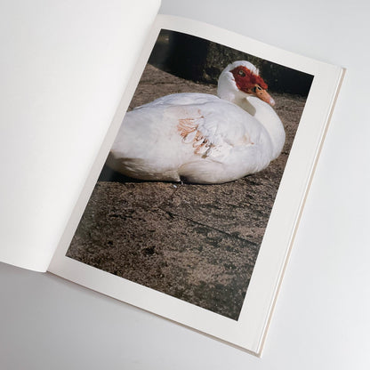 中平卓馬　沖縄 ラットホールギャラリー