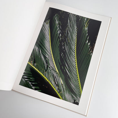 中平卓馬　沖縄 ラットホールギャラリー