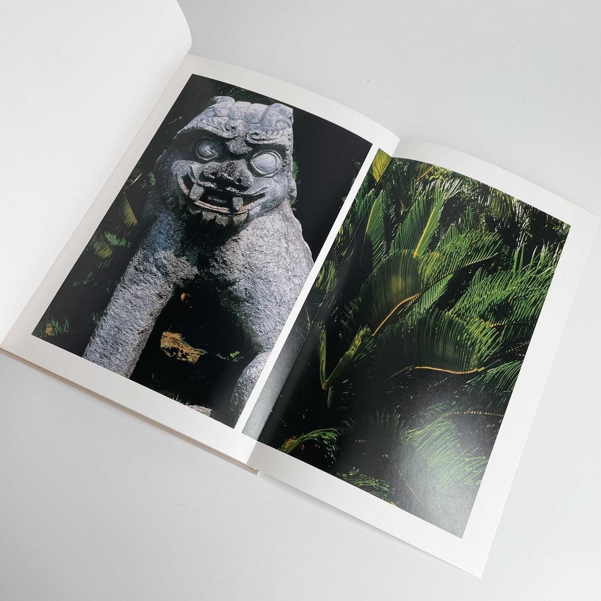 中平卓馬　沖縄 ラットホールギャラリー