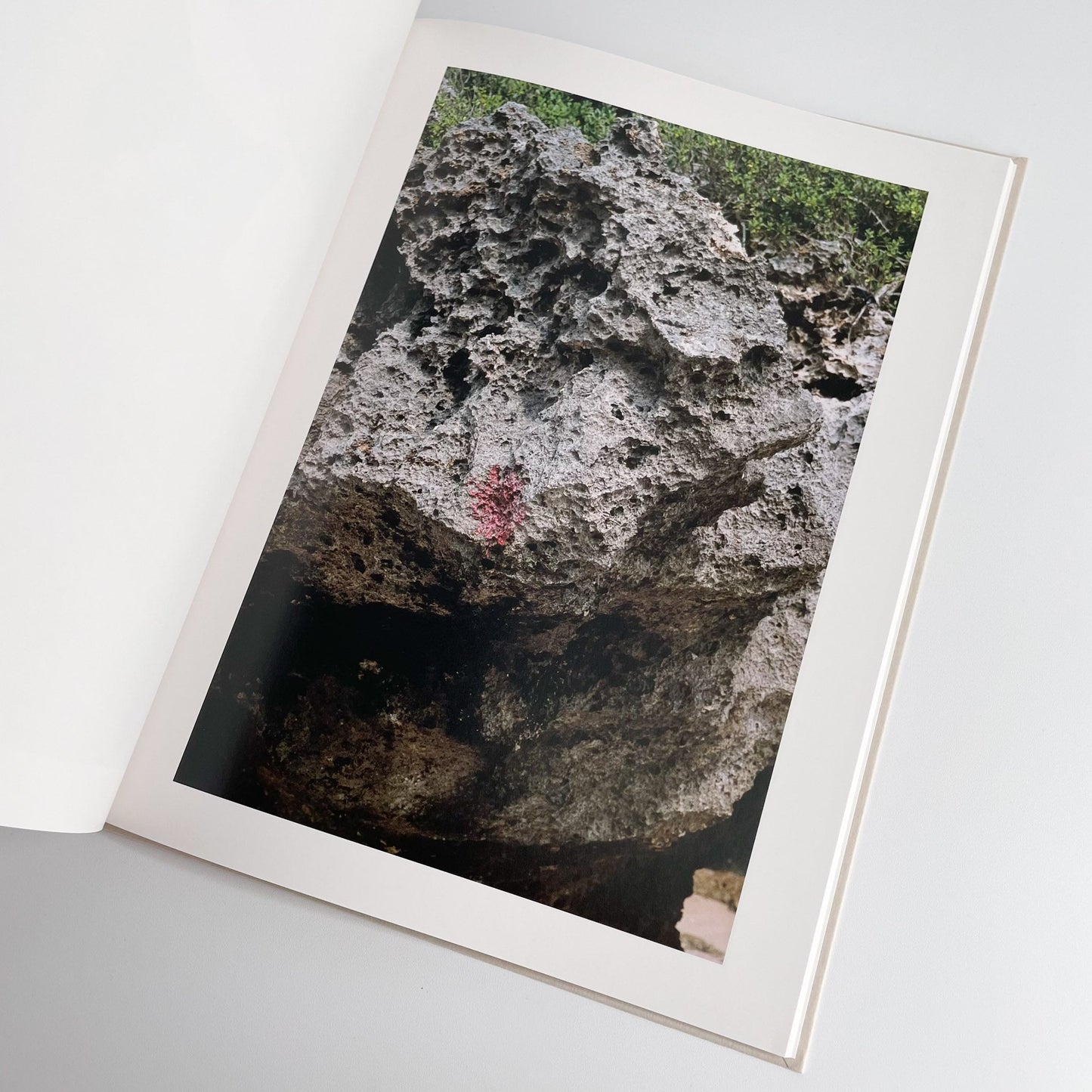 中平卓馬　沖縄 ラットホールギャラリー