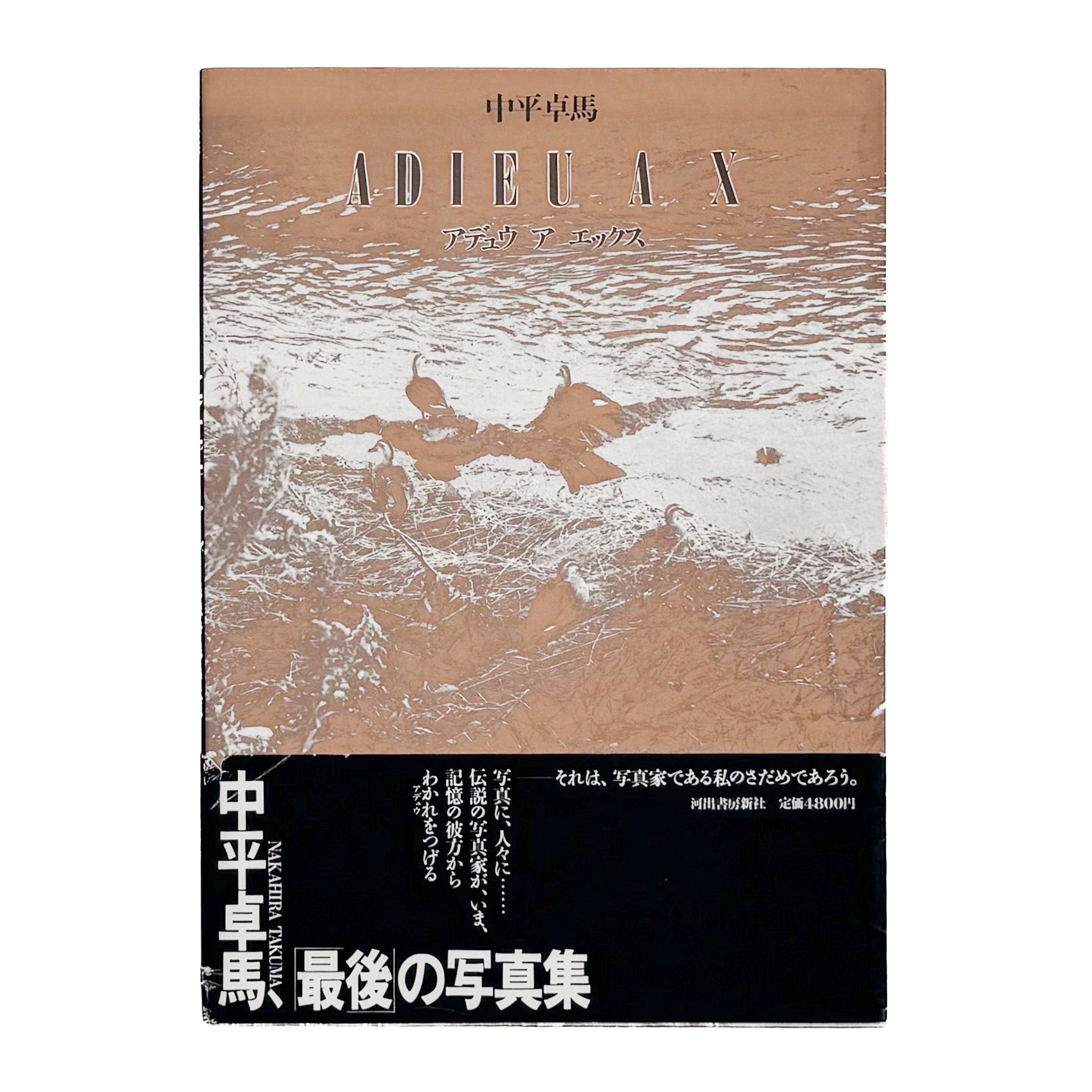 中平卓馬 : ADIEU A X アデュウ ア エックス 初版｜河出書房新社 1989