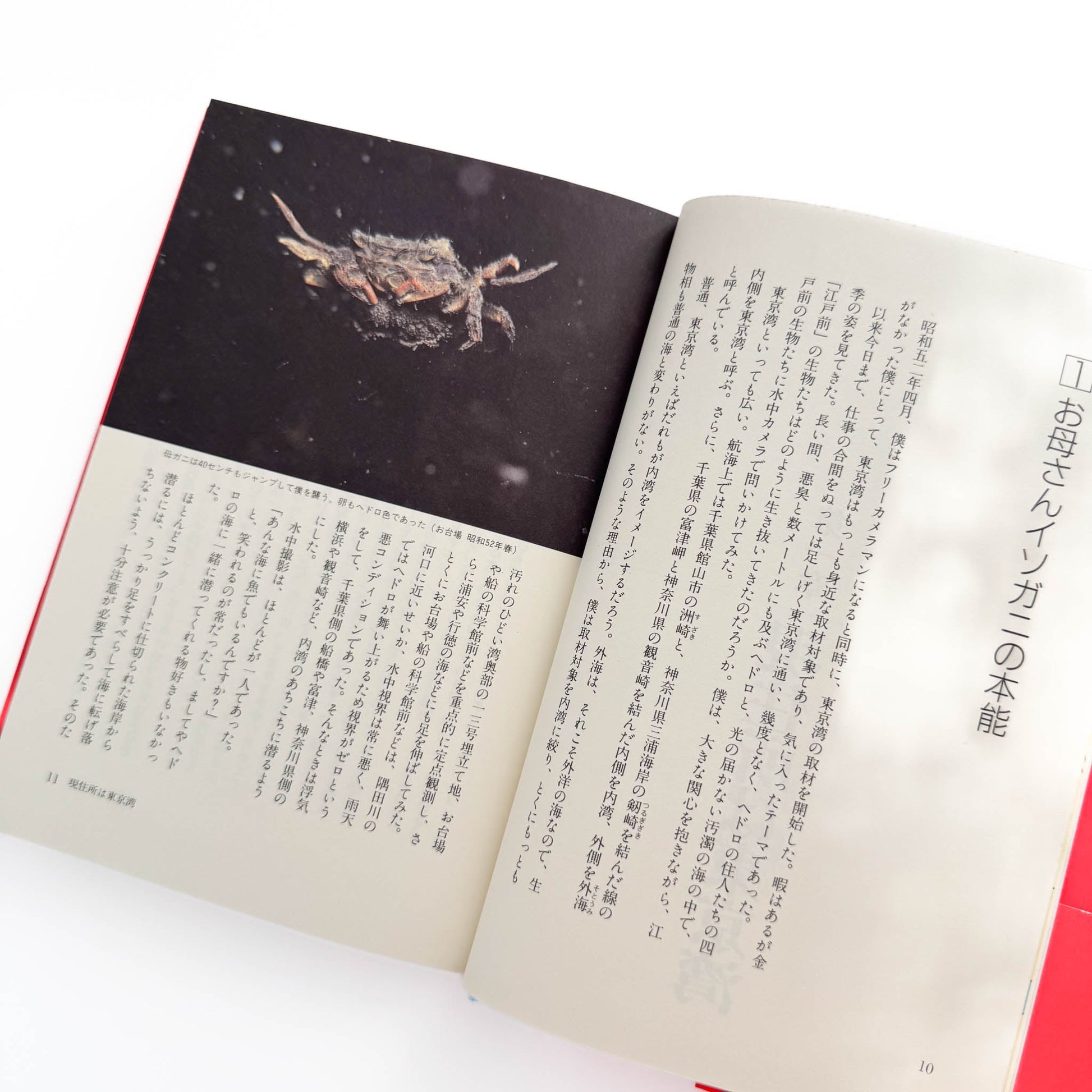 中村征夫　全・東京湾 情報センター出版局