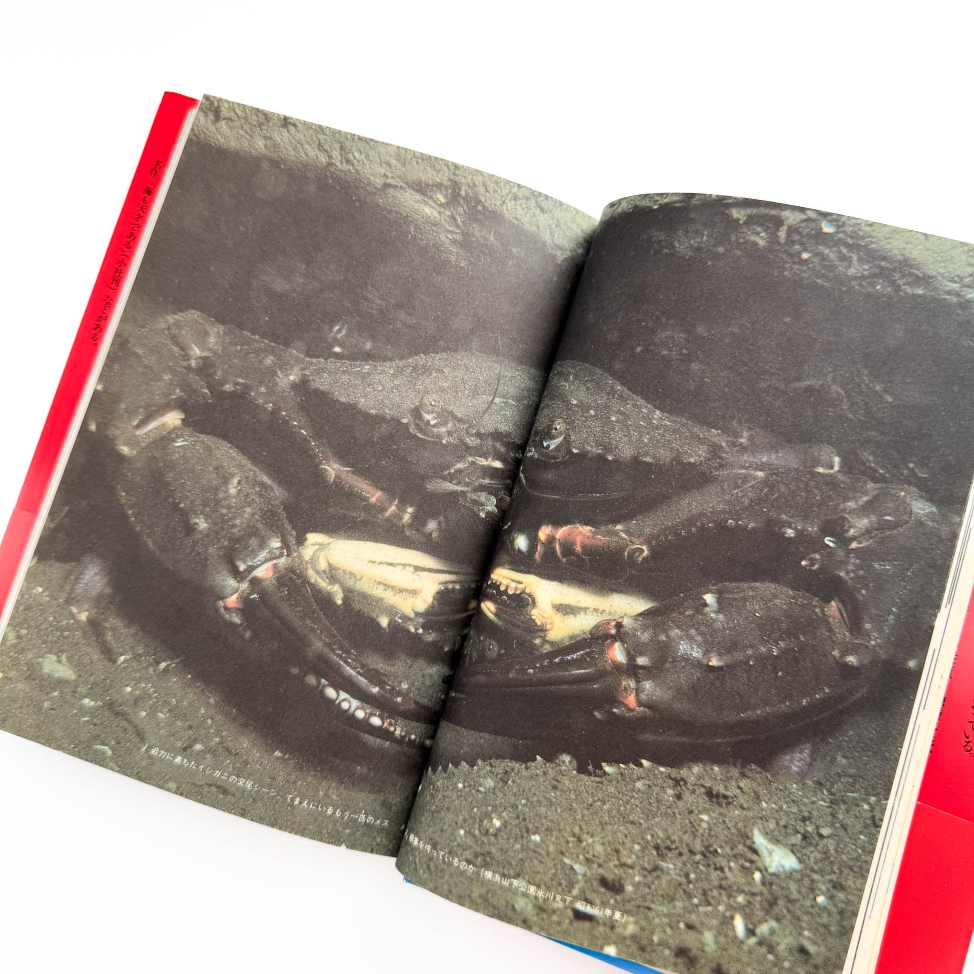 中村征夫　全・東京湾 情報センター出版局