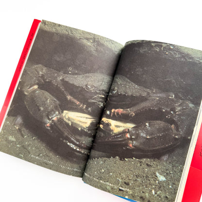 中村征夫　全・東京湾 情報センター出版局