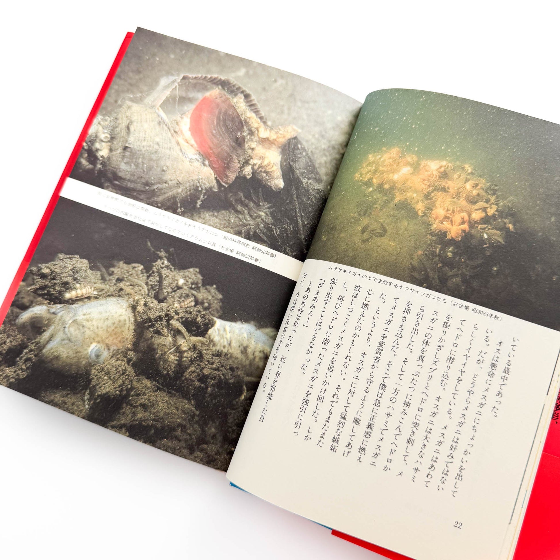 中村征夫　全・東京湾 情報センター出版局