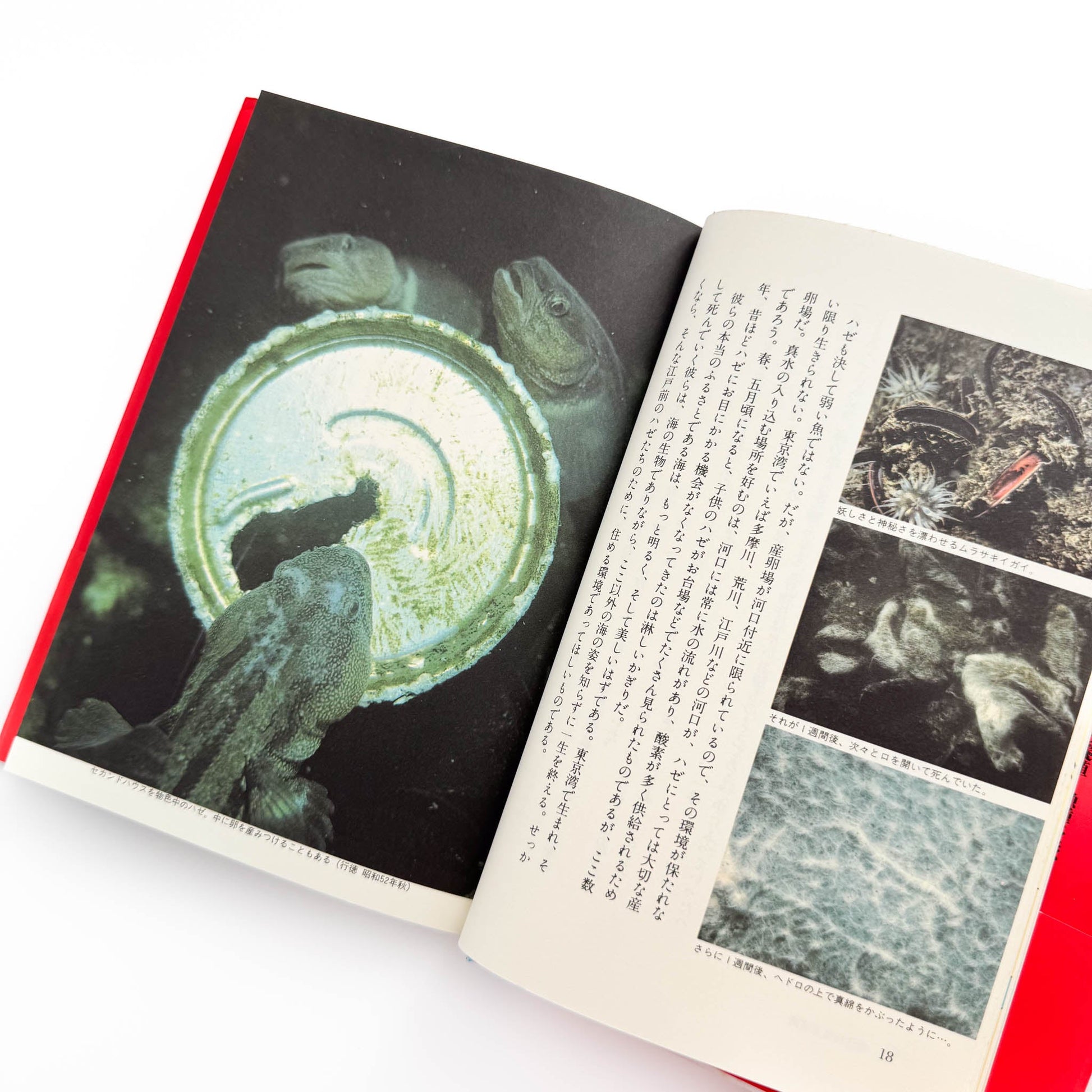 中村征夫　全・東京湾 情報センター出版局