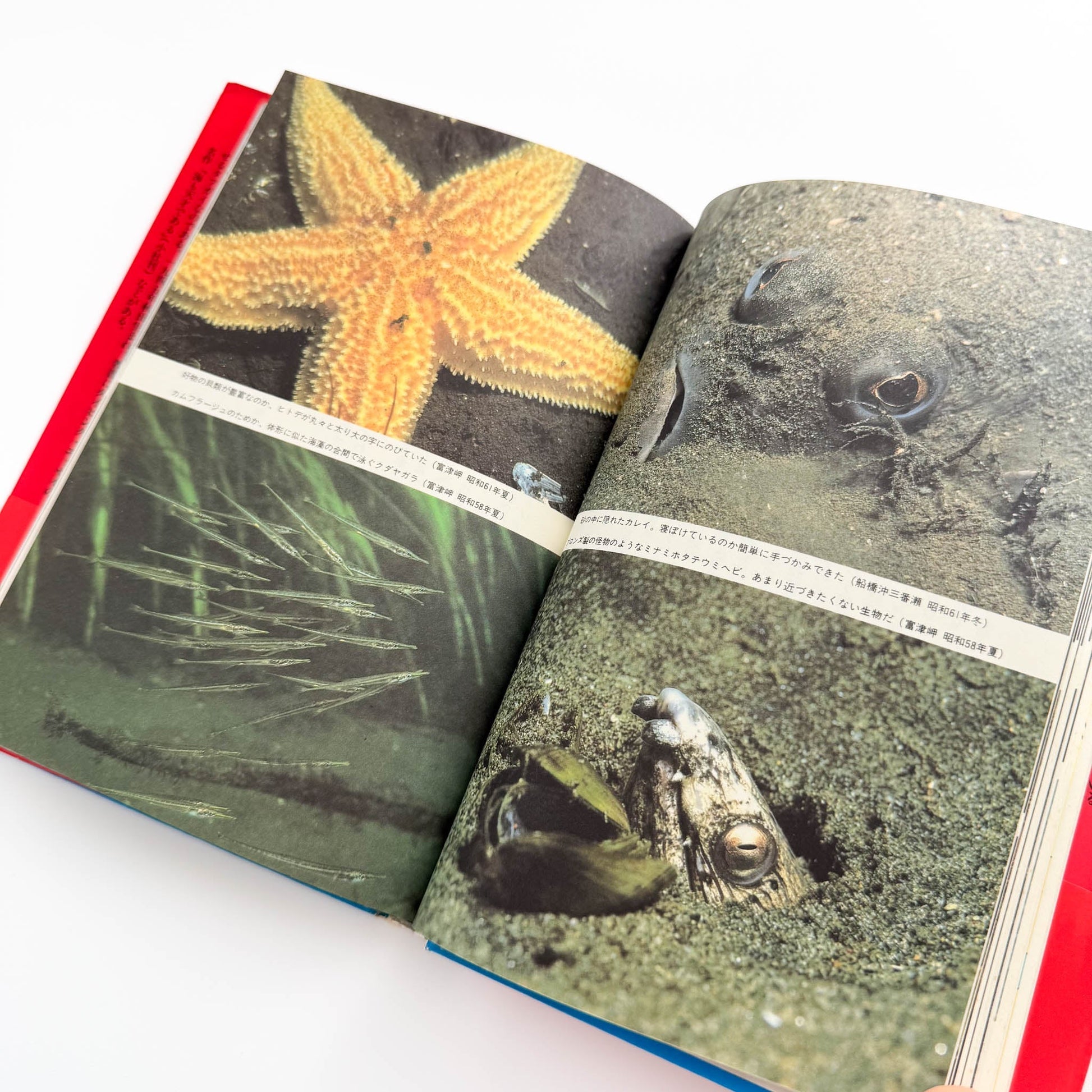 中村征夫　全・東京湾 情報センター出版局