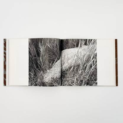 中里和人　湾岸原野 - 写真集