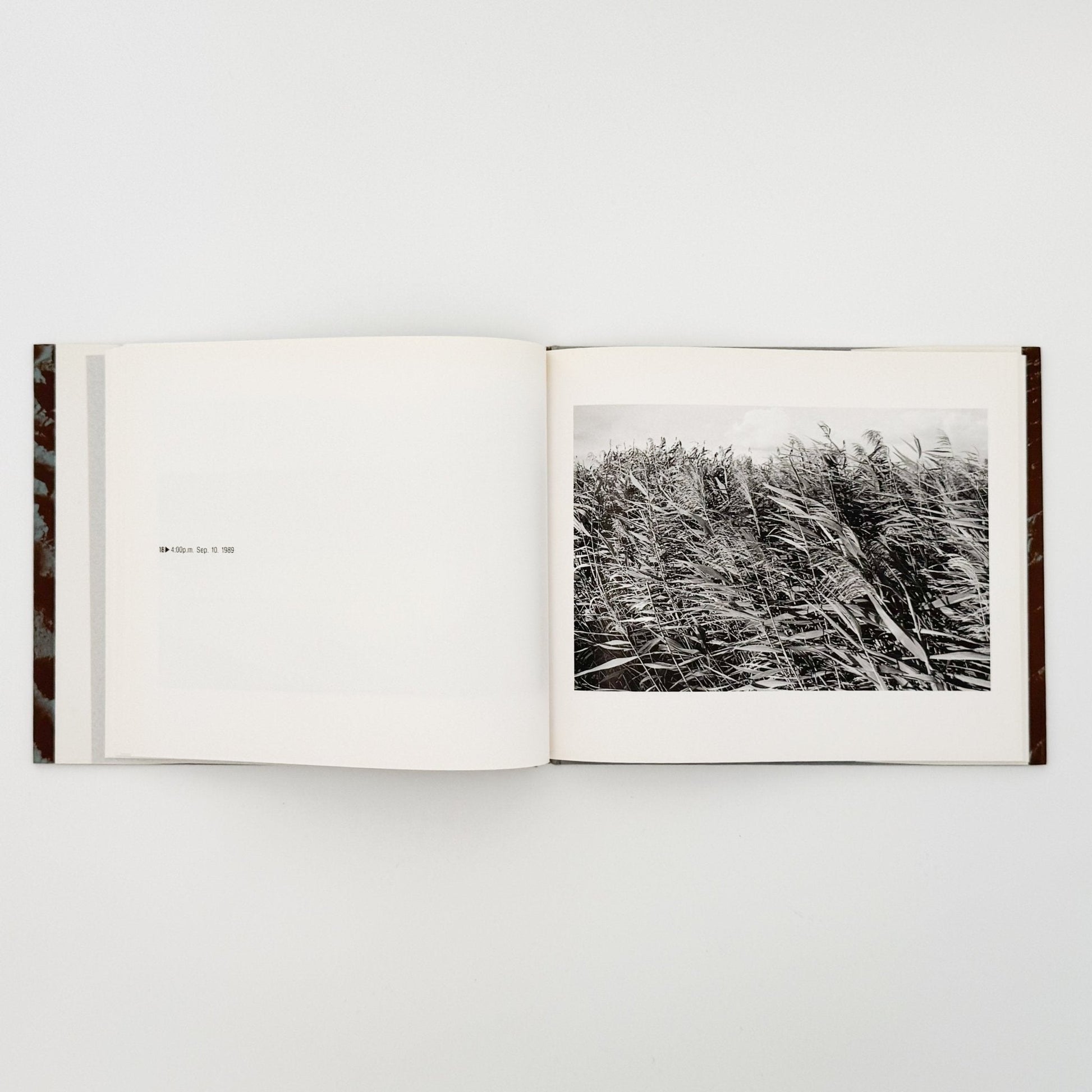 中里和人　湾岸原野 - 六興出版 - 文福