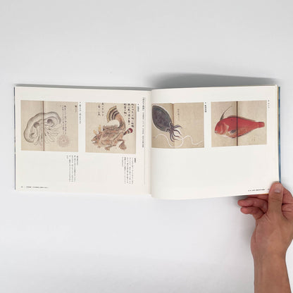 大野麥風展　「大日本魚類画集」と博物画にみる魚たち 東京ステーションギャラリー