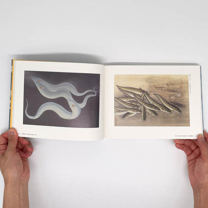 大野麥風展　「大日本魚類画集」と博物画にみる魚たち - 東京ステーションギャラリー - 文福