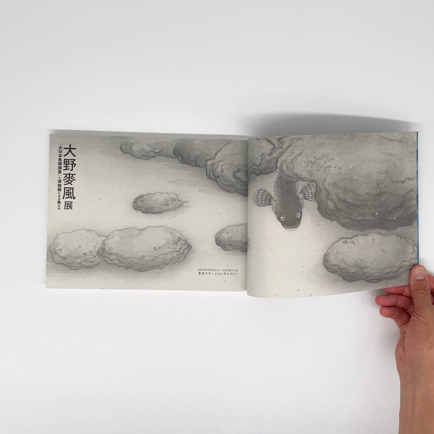 大野麥風展　「大日本魚類画集」と博物画にみる魚たち 東京ステーションギャラリー