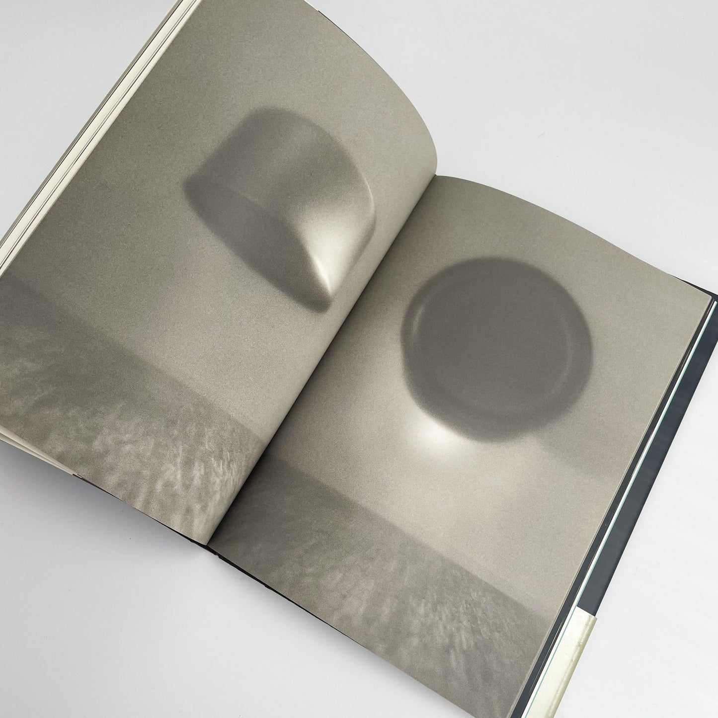 オノデラユキ　カメラキメラ cameraChimera 水声社