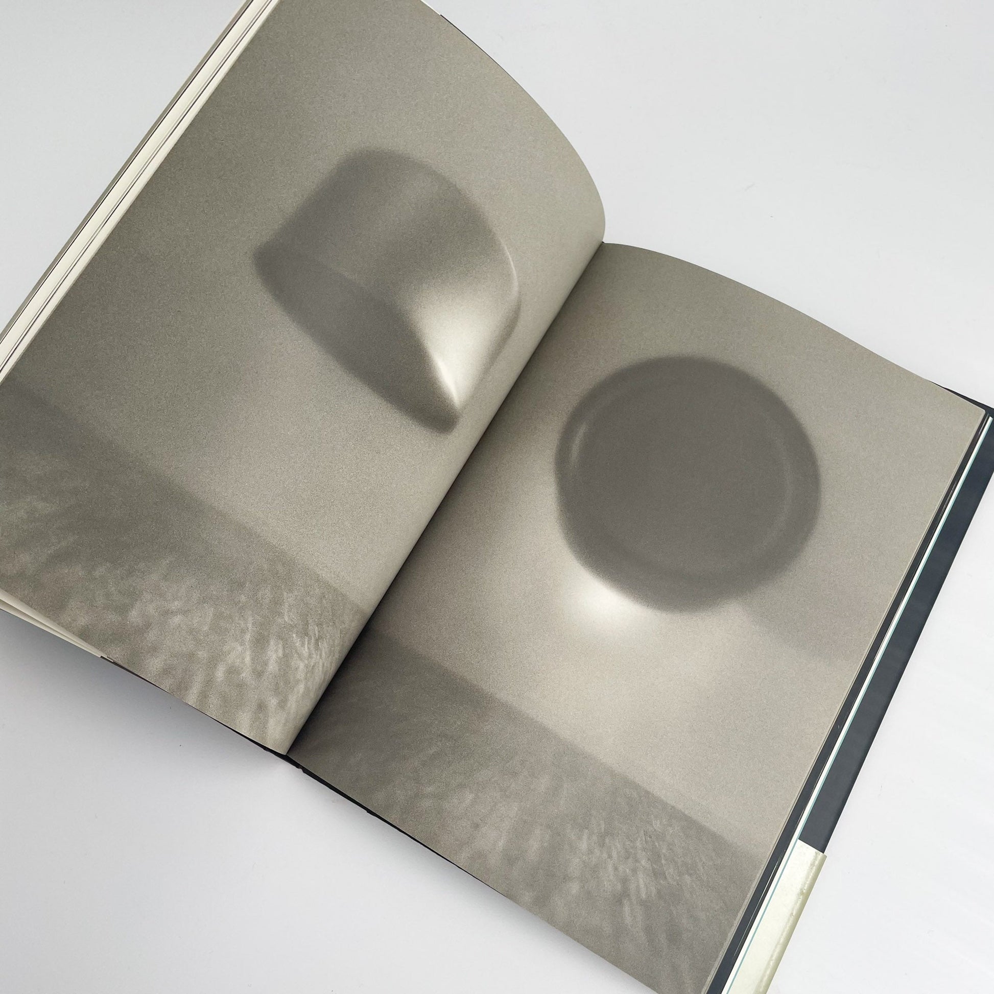 オノデラユキ　カメラキメラ cameraChimera 水声社