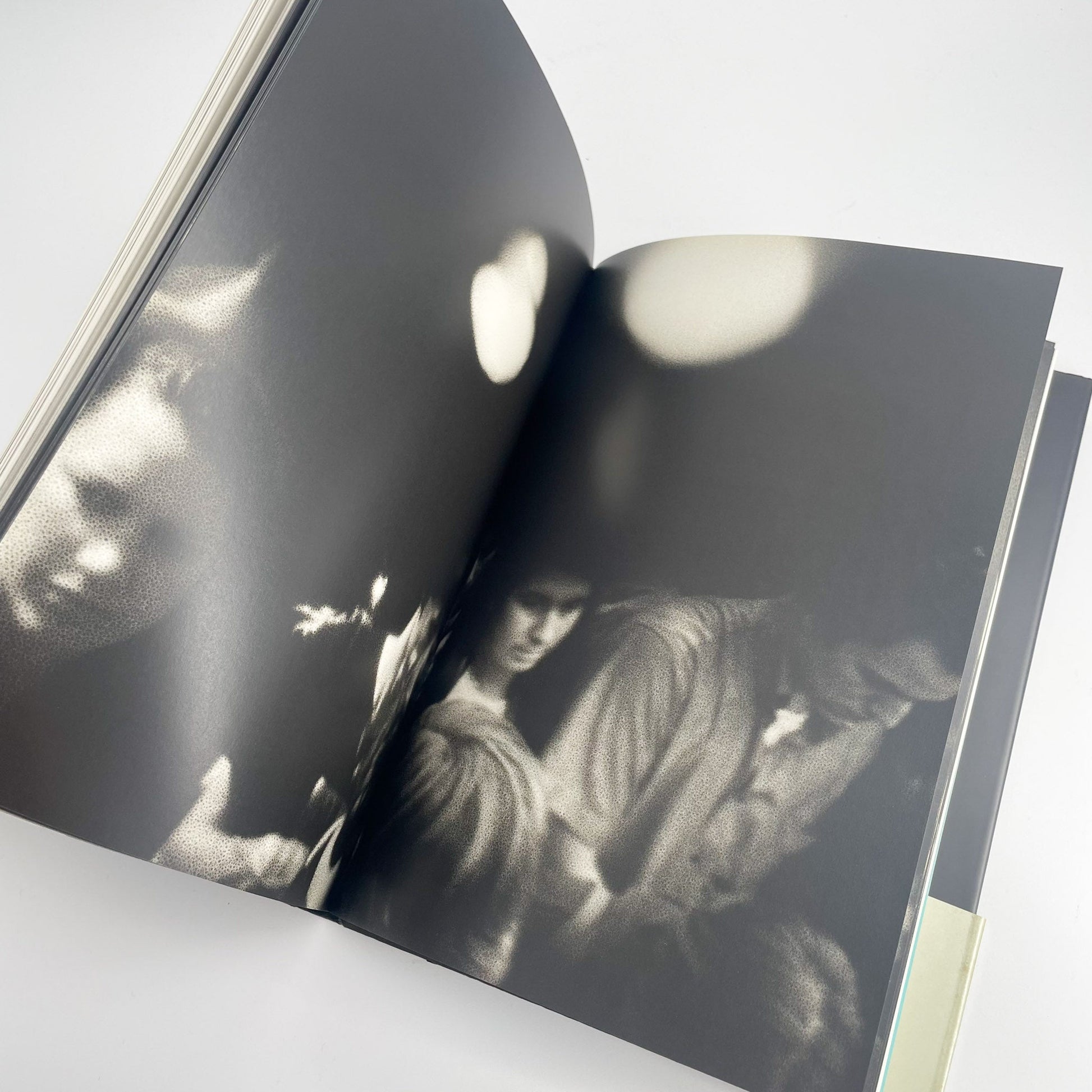 オノデラユキ　カメラキメラ cameraChimera 水声社