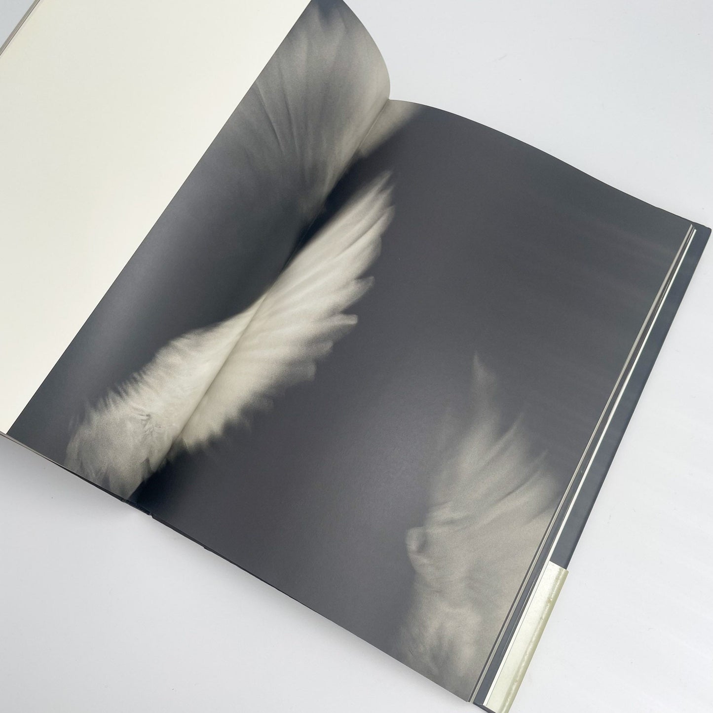 オノデラユキ　カメラキメラ cameraChimera 水声社