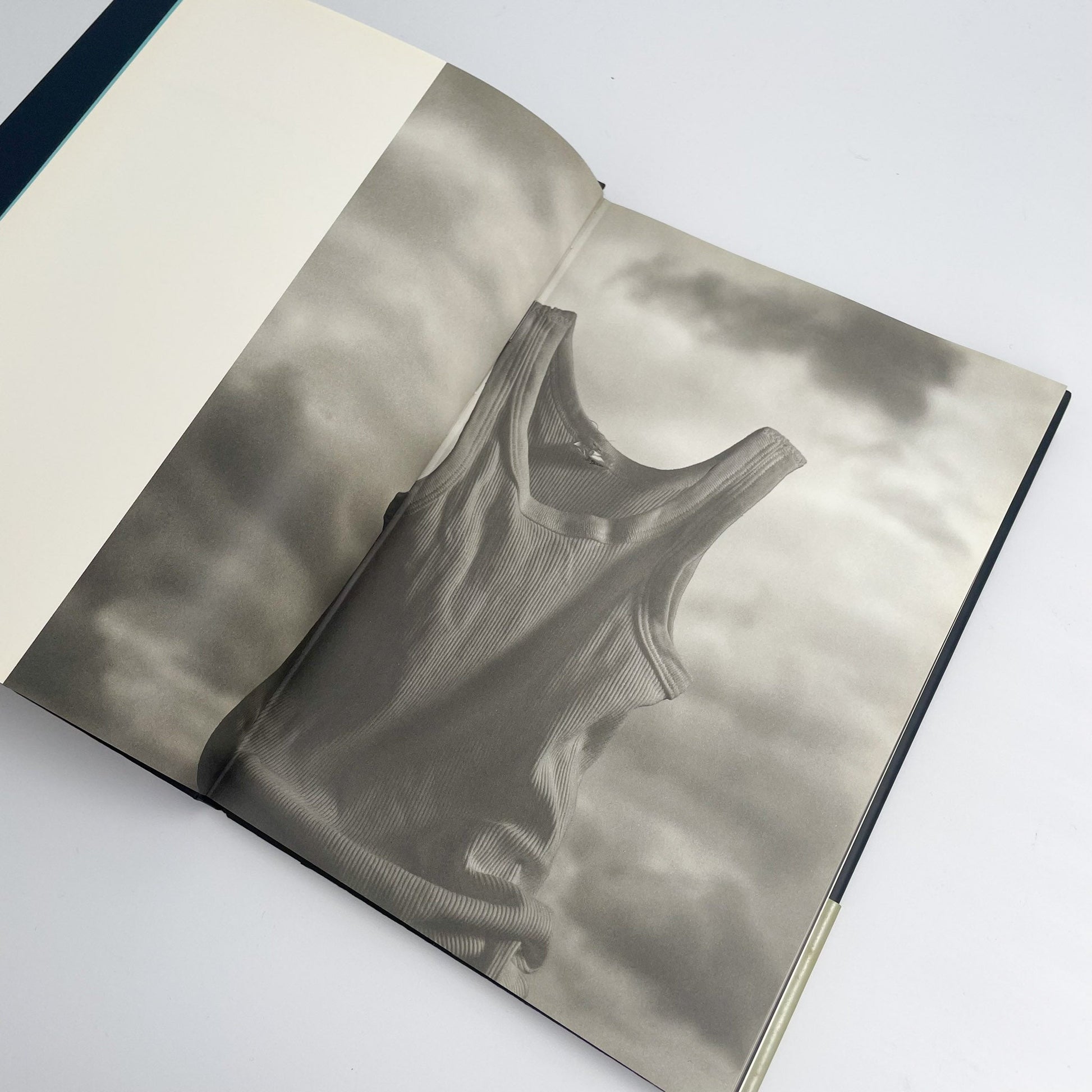 オノデラユキ　カメラキメラ cameraChimera 水声社