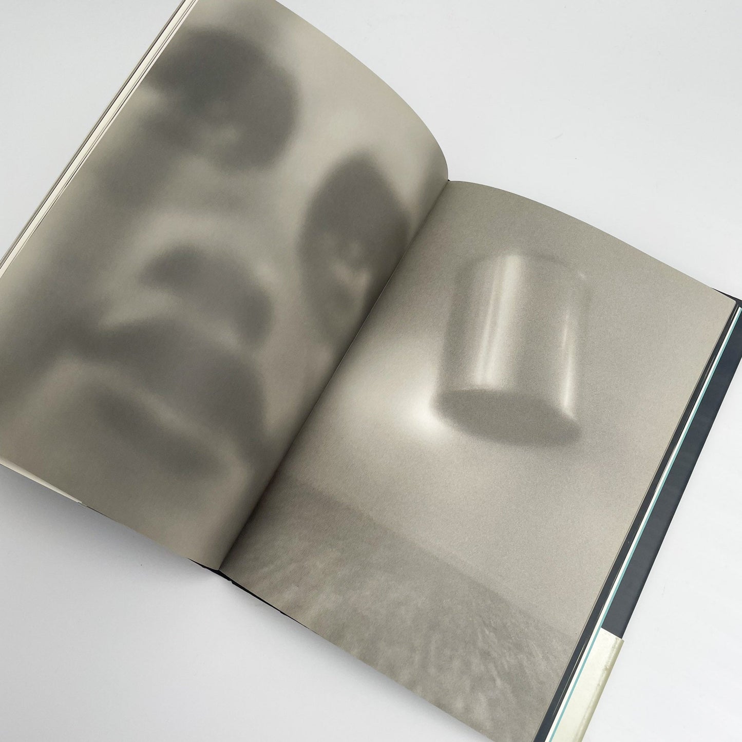 オノデラユキ　カメラキメラ cameraChimera 水声社