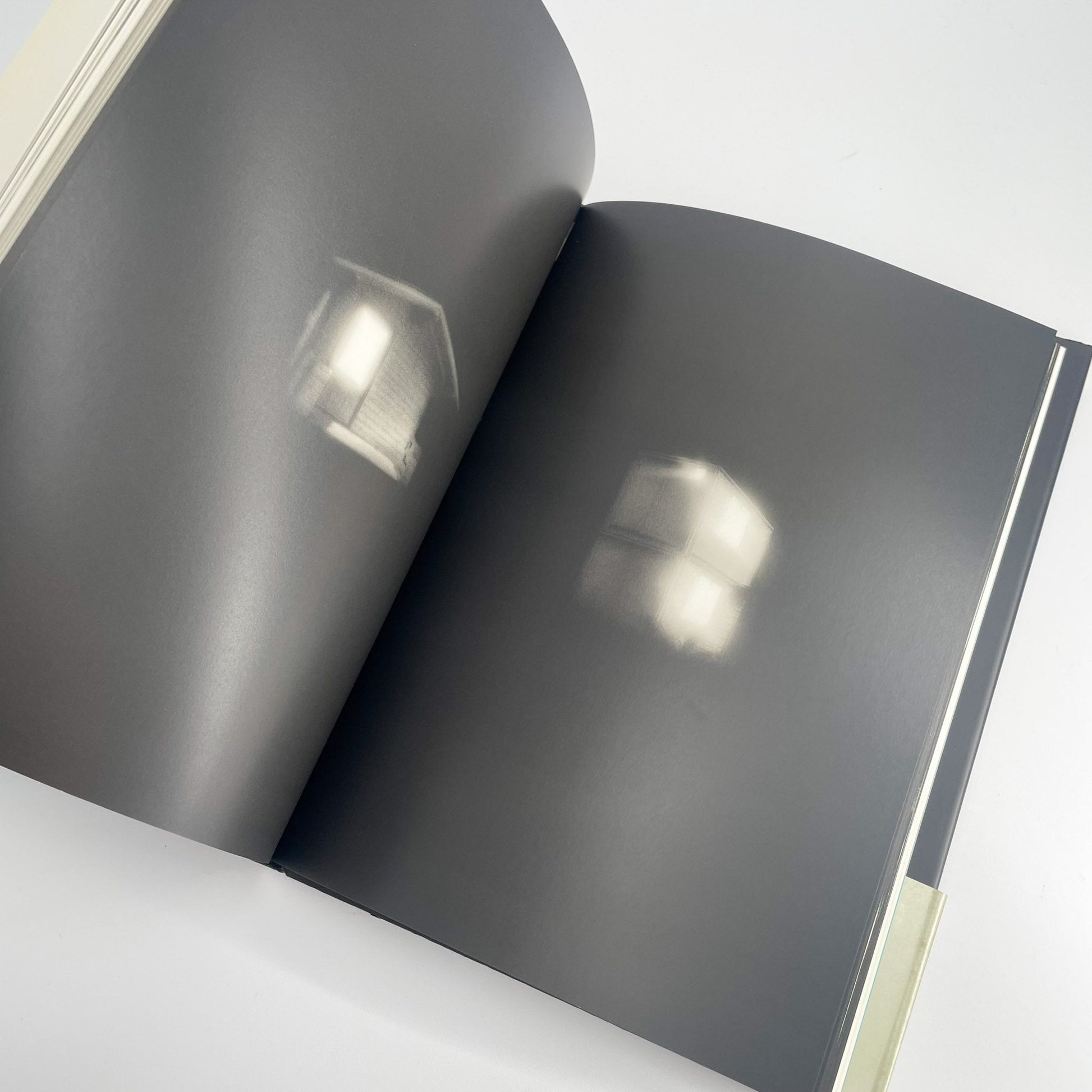 オノデラユキ　カメラキメラ cameraChimera 水声社