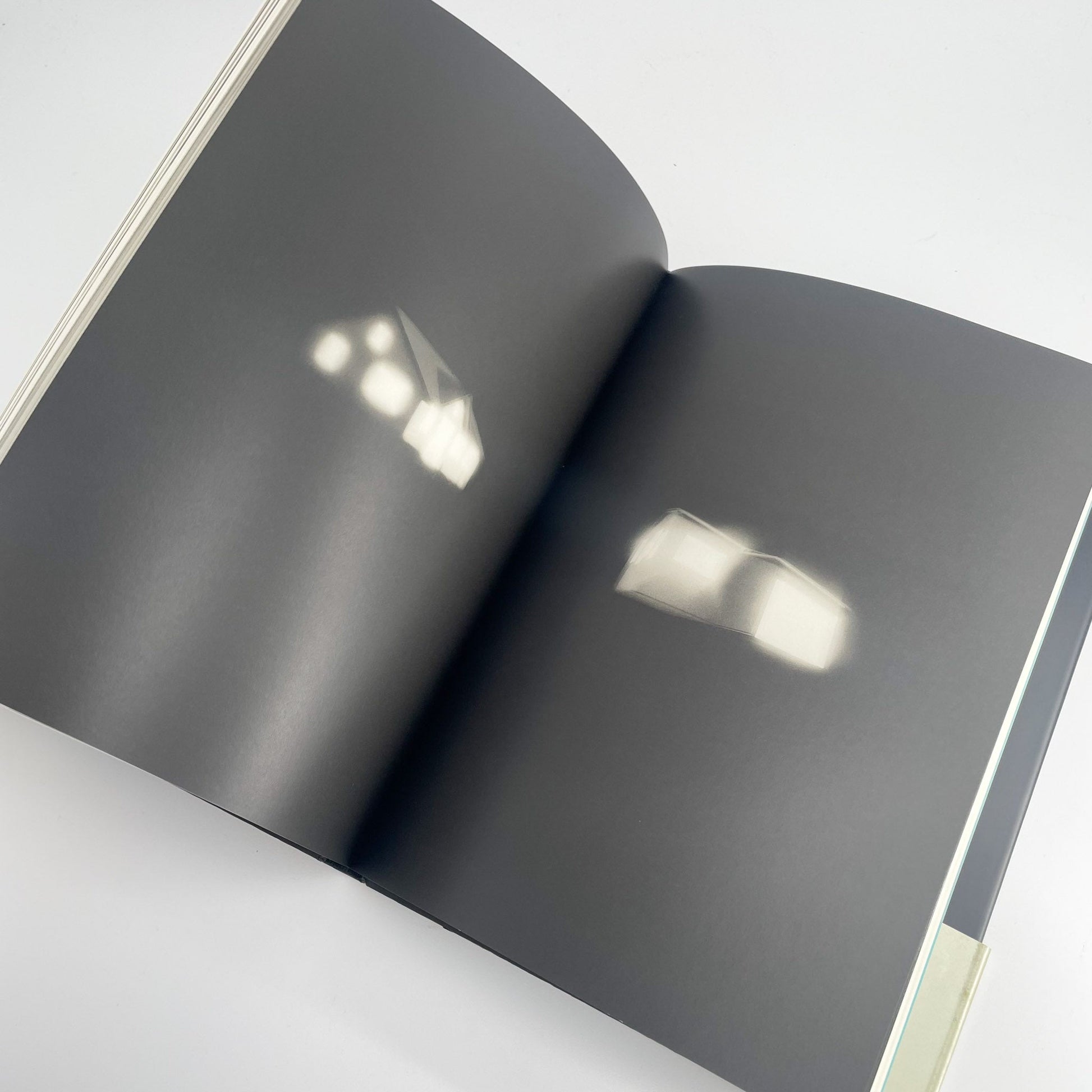 オノデラユキ　カメラキメラ cameraChimera 水声社