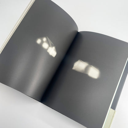 オノデラユキ　カメラキメラ cameraChimera 水声社