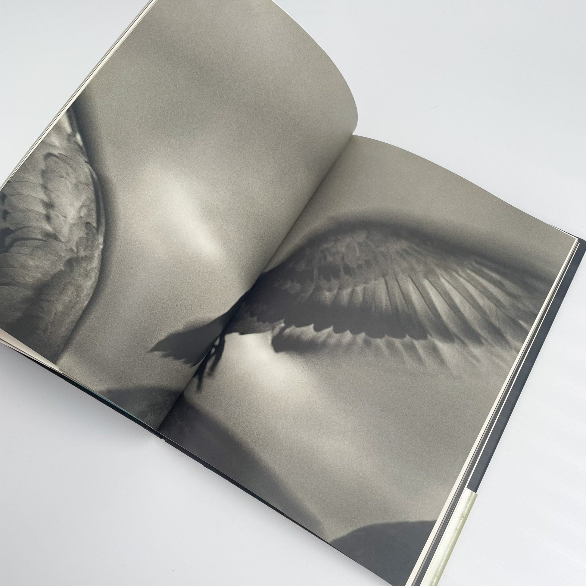 オノデラユキ　カメラキメラ cameraChimera 水声社