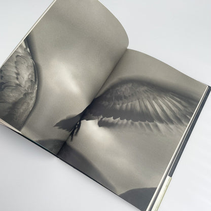 オノデラユキ　カメラキメラ cameraChimera 水声社