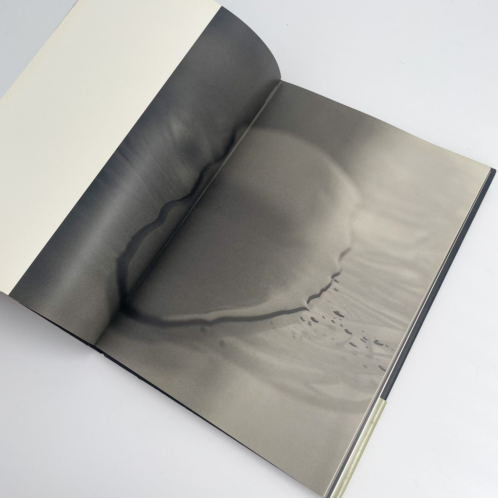 オノデラユキ　カメラキメラ cameraChimera 水声社