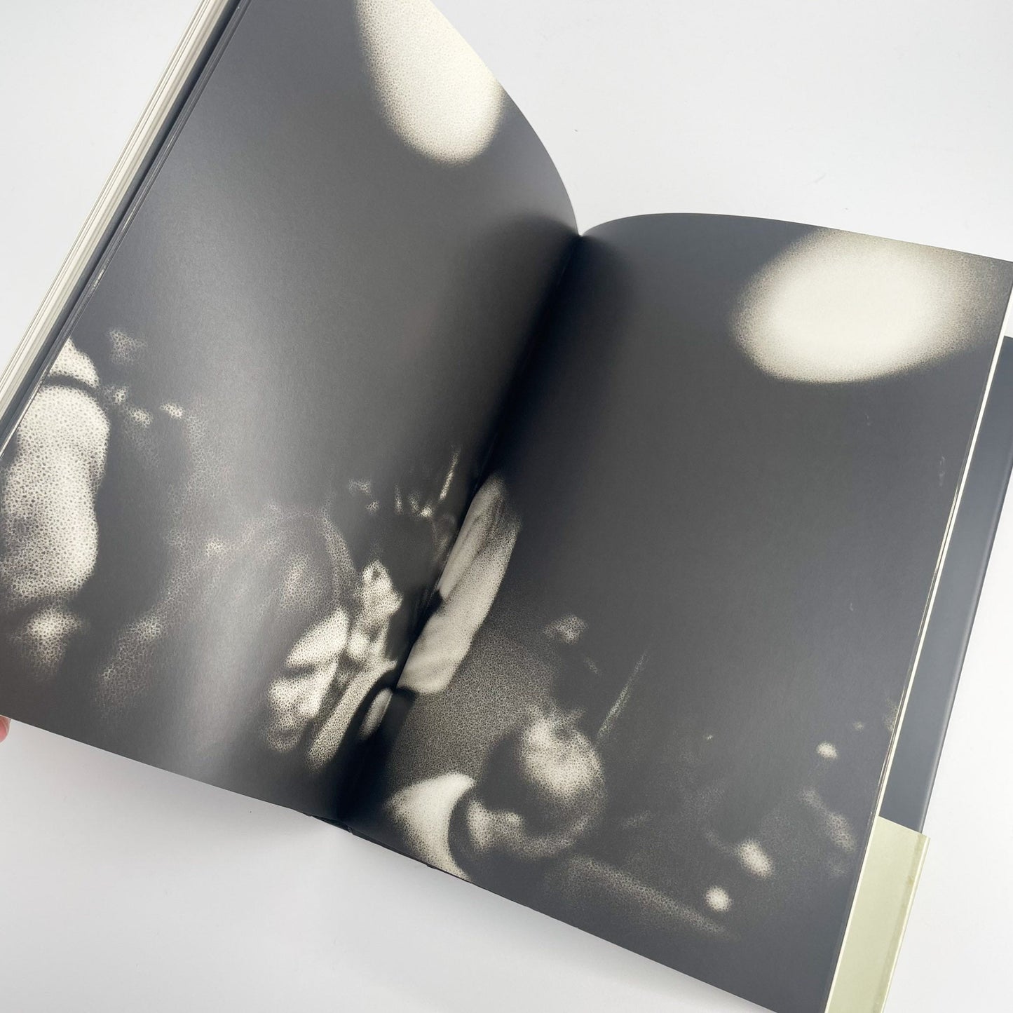 オノデラユキ　カメラキメラ cameraChimera 水声社