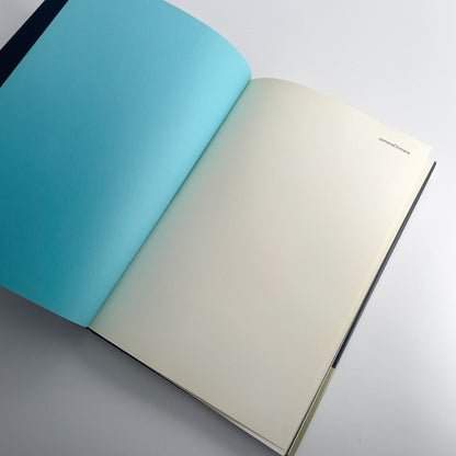 オノデラユキ　カメラキメラ cameraChimera 水声社