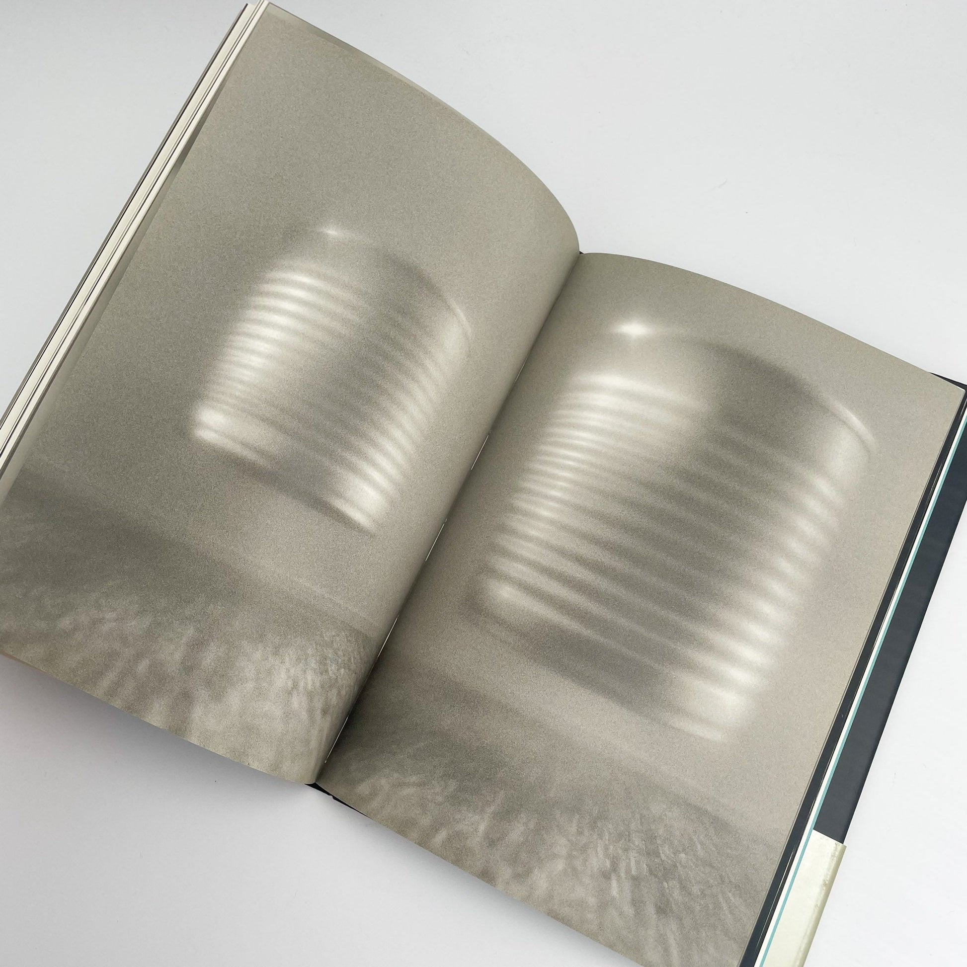 オノデラユキ　カメラキメラ cameraChimera 水声社