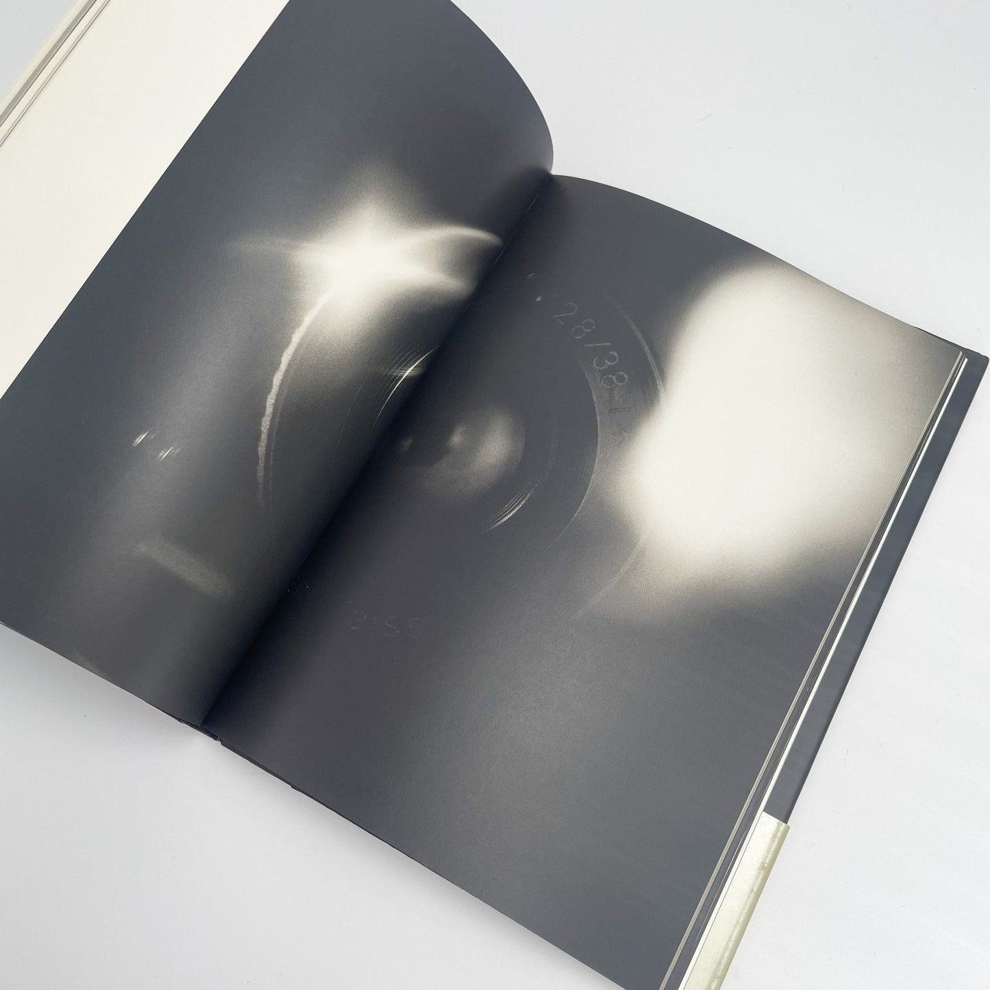 オノデラユキ　カメラキメラ cameraChimera 水声社