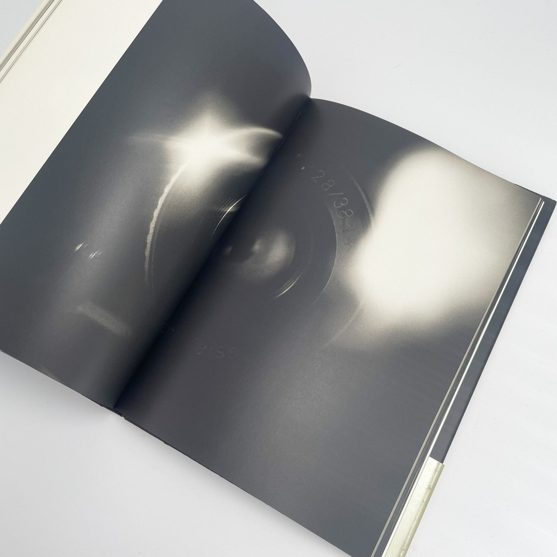 オノデラユキ　カメラキメラ cameraChimera 水声社