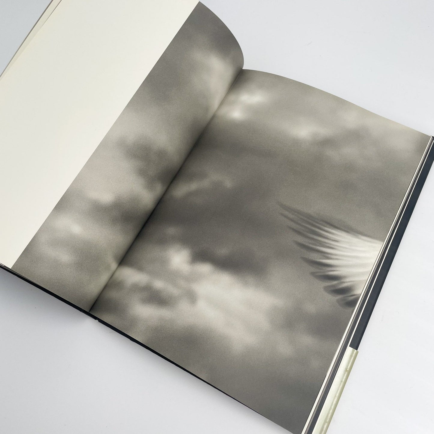 オノデラユキ　カメラキメラ cameraChimera 水声社