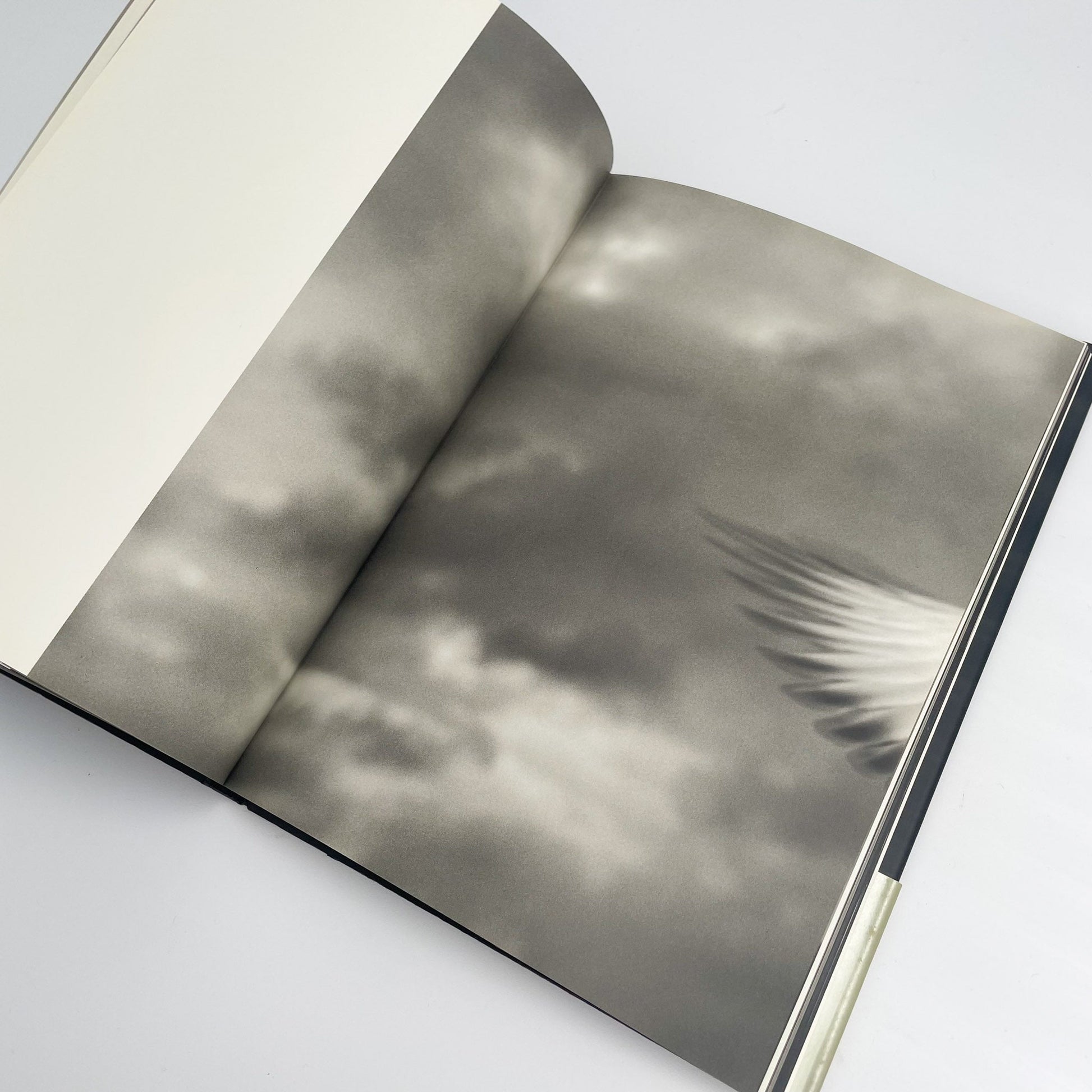 オノデラユキ　カメラキメラ cameraChimera 水声社