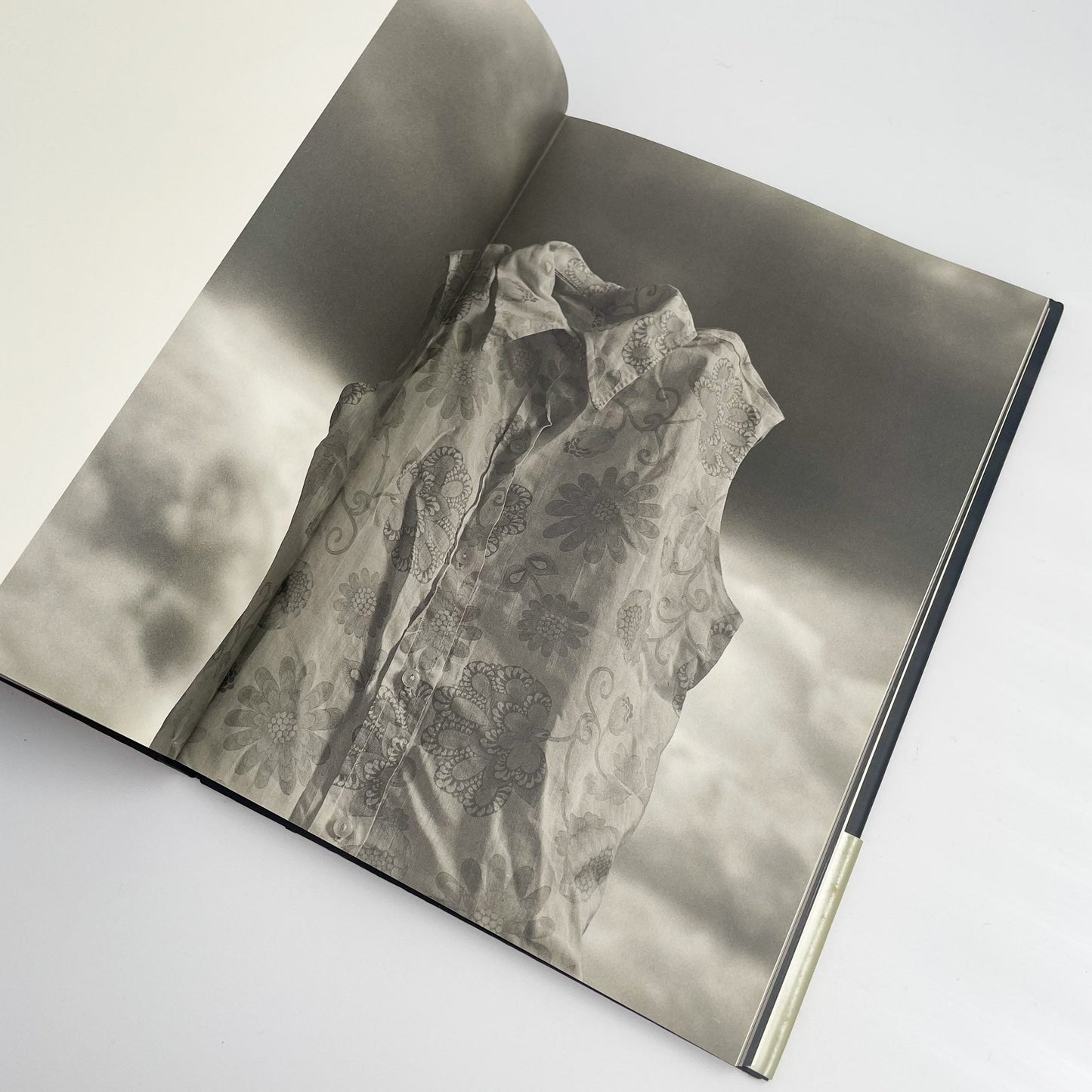 オノデラユキ　カメラキメラ cameraChimera 水声社