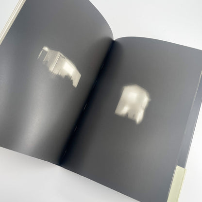 オノデラユキ　カメラキメラ cameraChimera 水声社