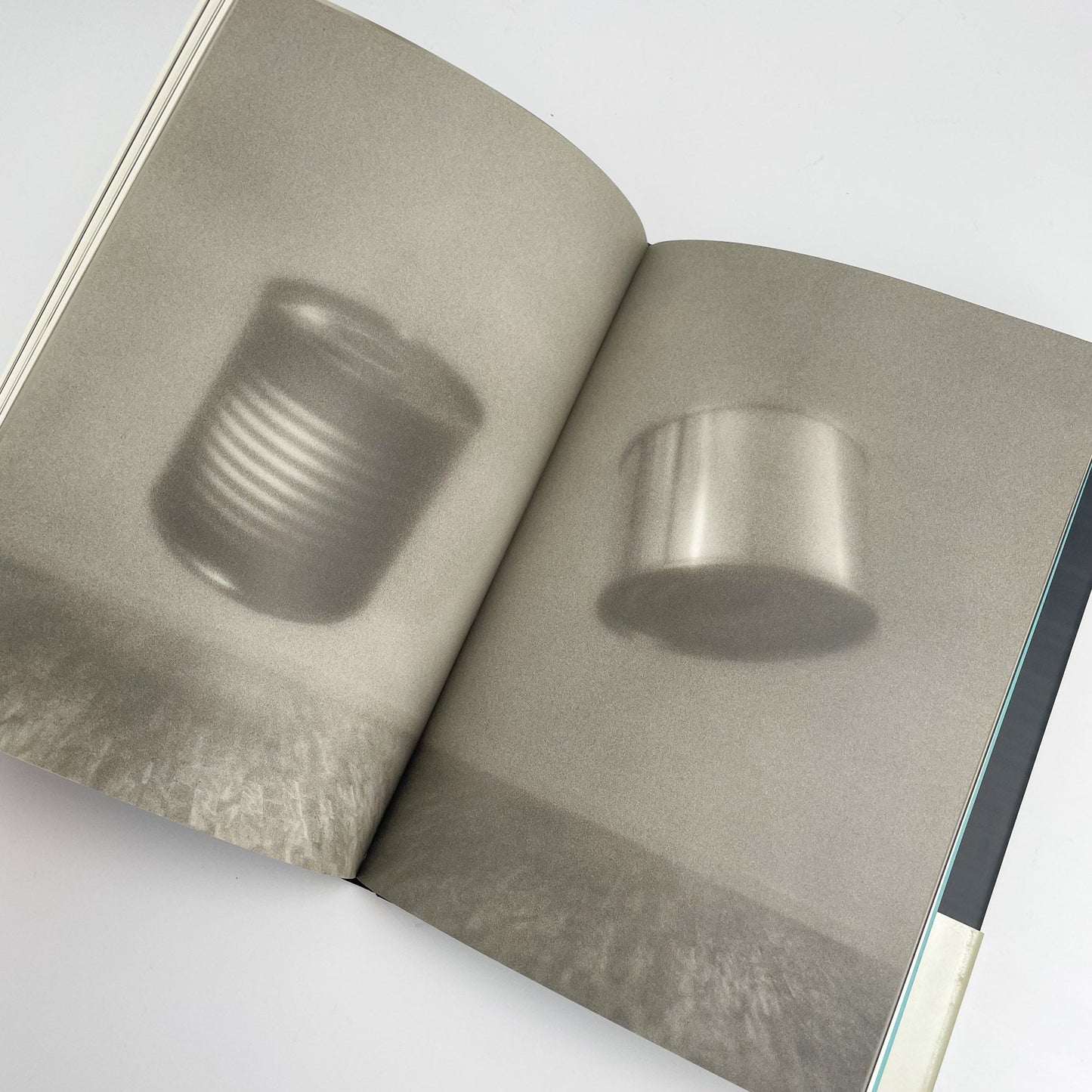 オノデラユキ　カメラキメラ cameraChimera 水声社